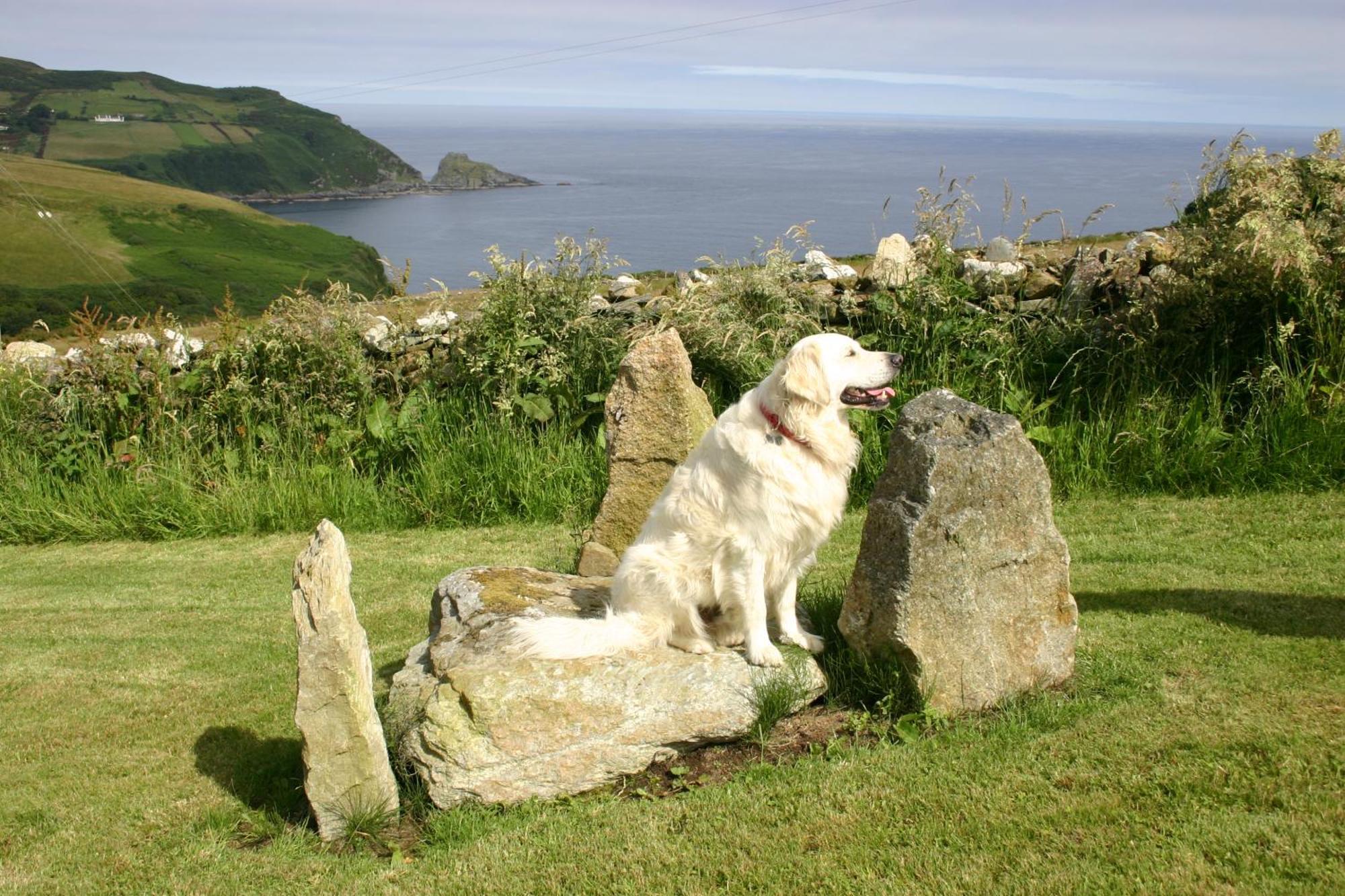 Wild Atlantic View Inishowen Greencastle  Εξωτερικό φωτογραφία